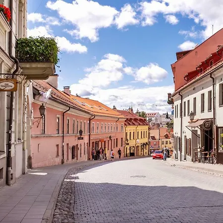 Authentic 2 Bdr In Artistic Old Town Διαμέρισμα Βίλνιους